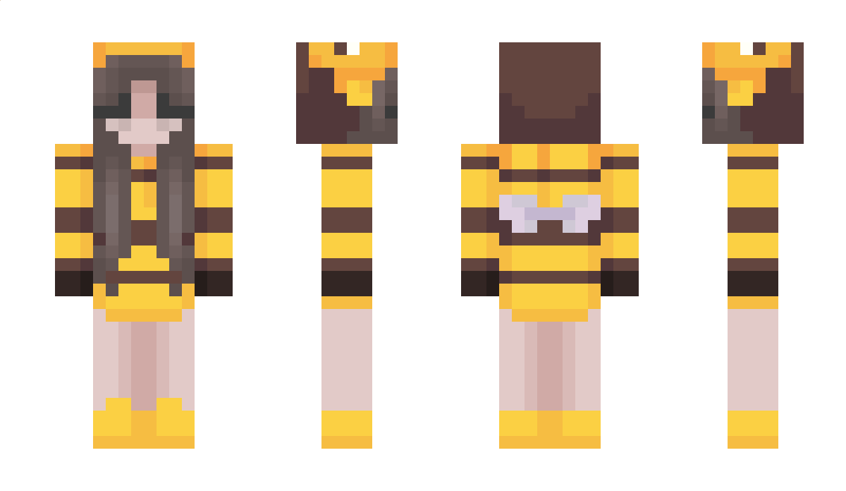 vviews Minecraft Skin