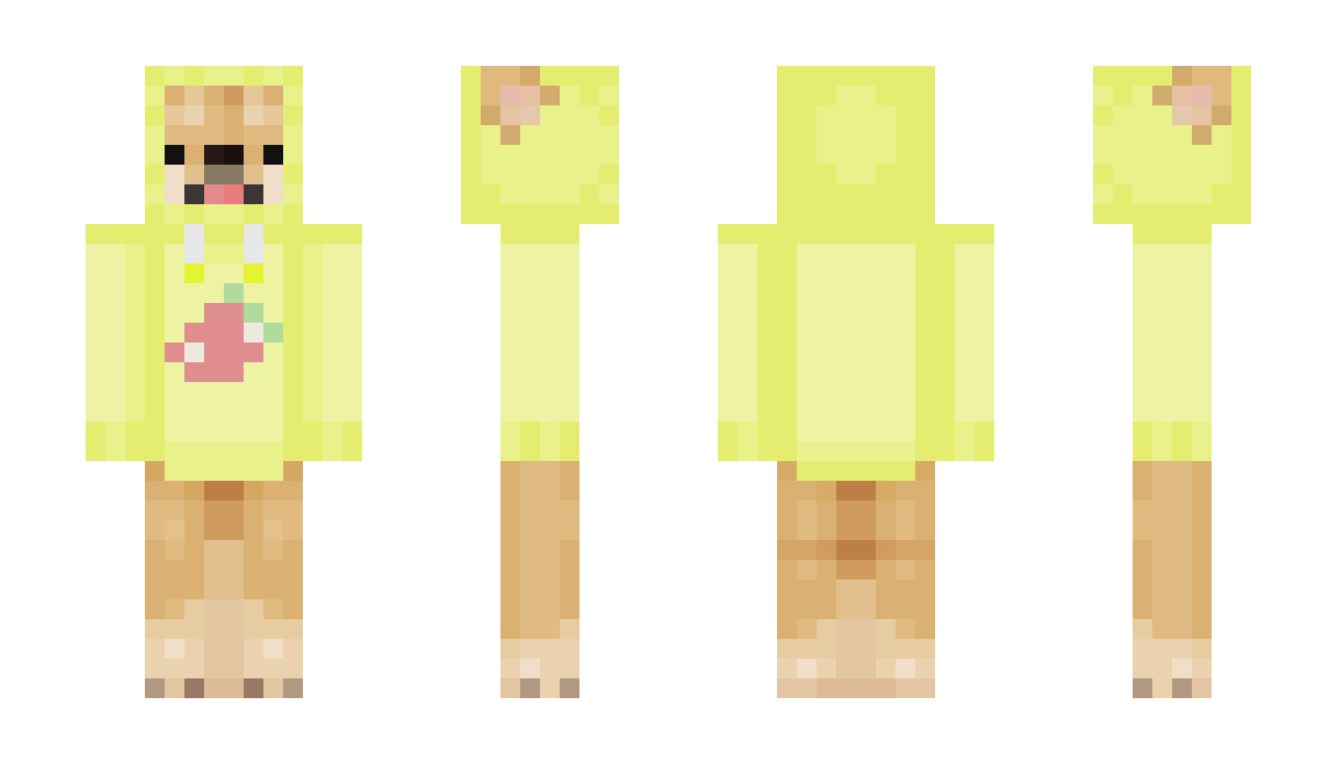 Xll Minecraft Skin