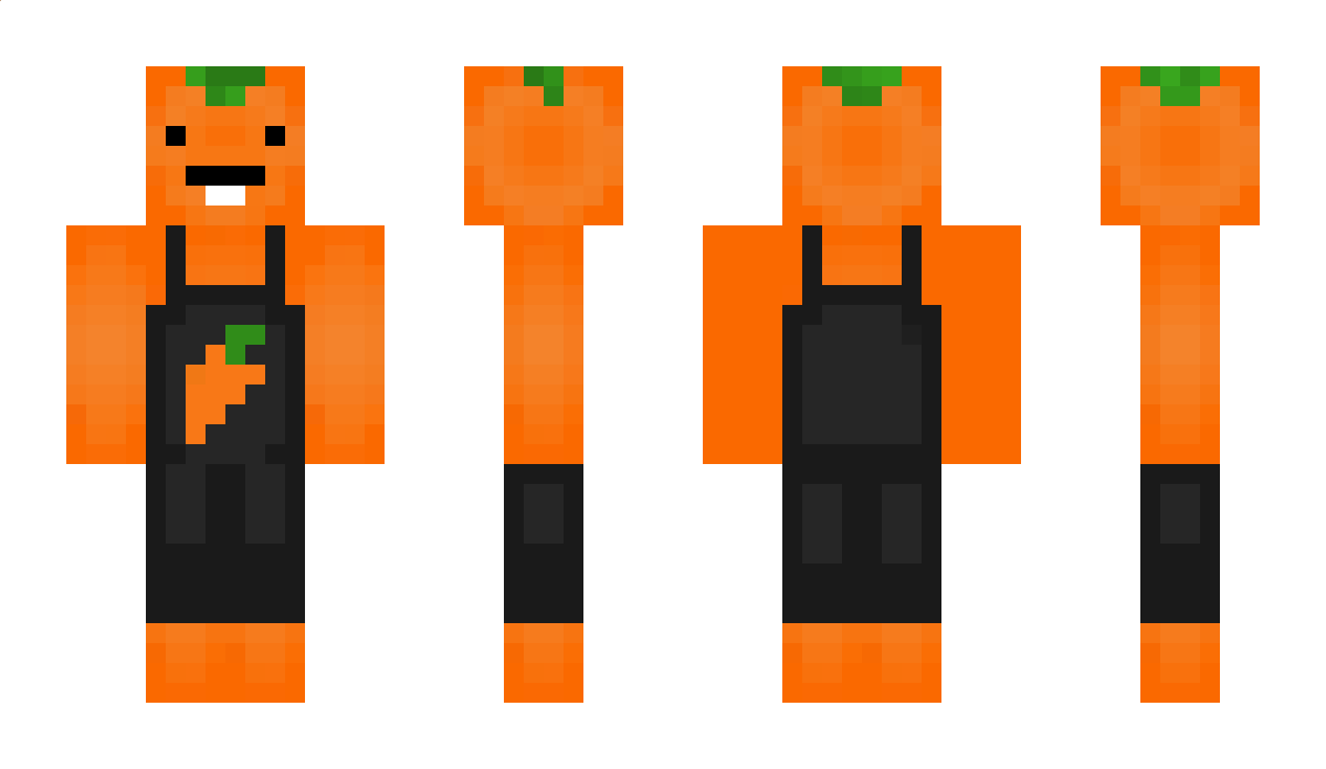 HAVIJIO Minecraft Skin