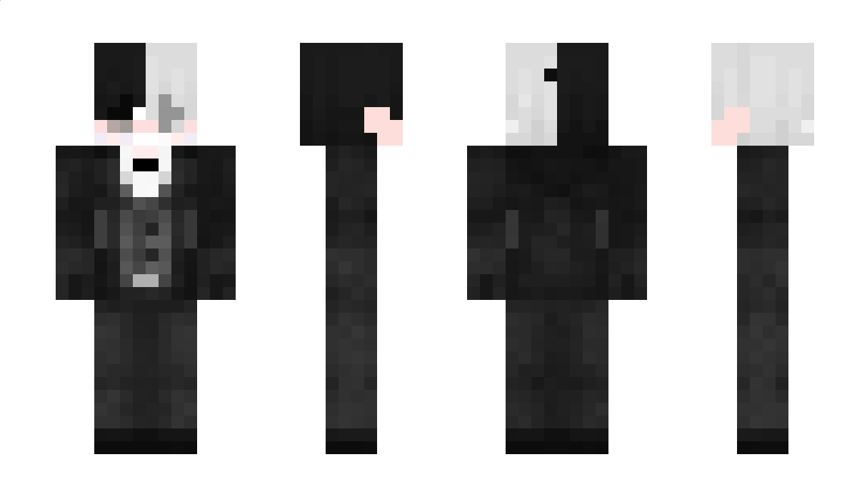 Enquiree Minecraft Skin