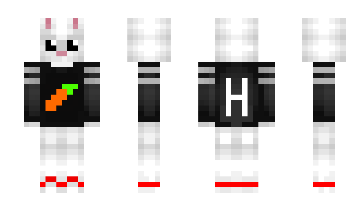 Hoppel800 Minecraft Skin