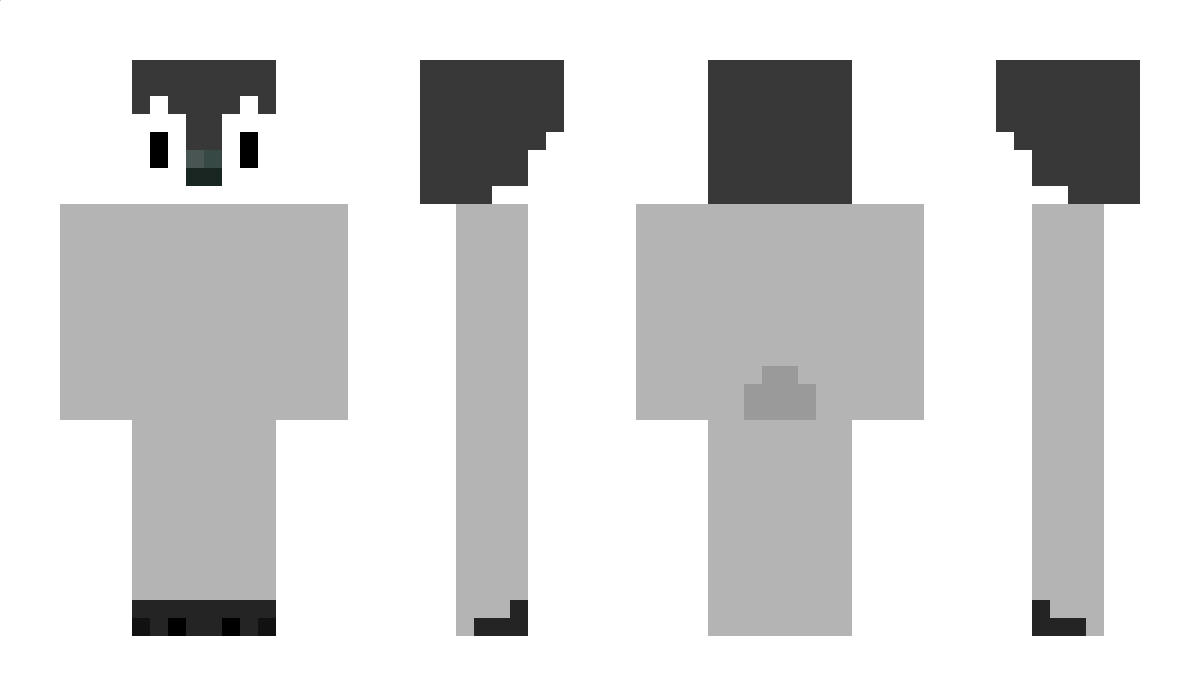 skaterboi Minecraft Skin