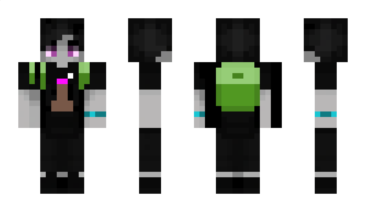 LowPr0file Minecraft Skin