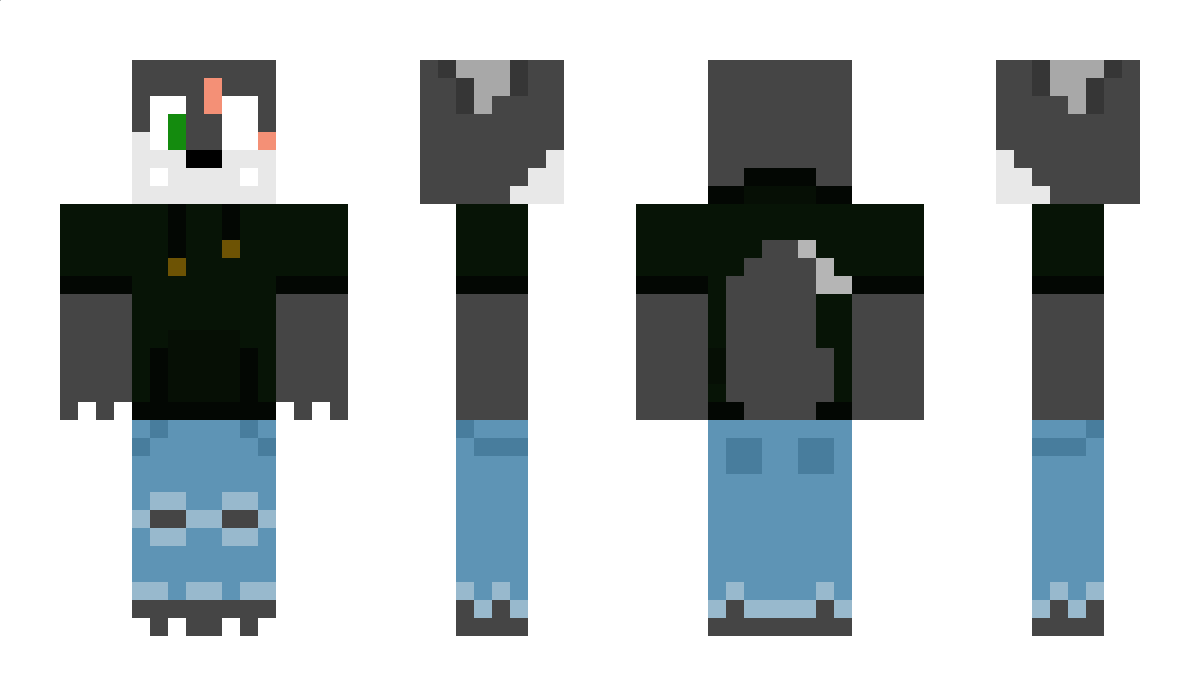 Riggs64 Minecraft Skin