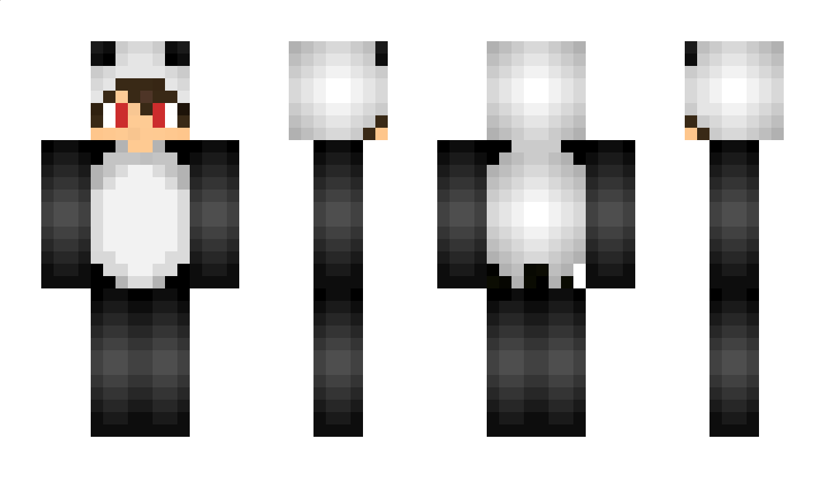 LetsPlayPanda Minecraft Skin