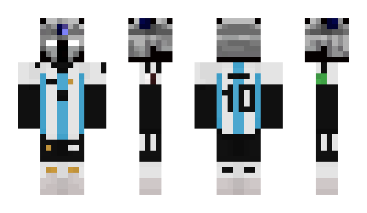 MediumChaimX362 Minecraft Skin