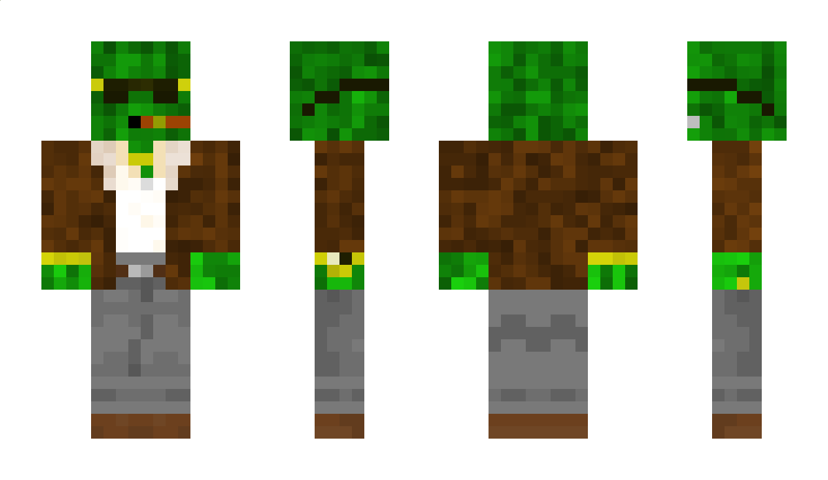 DERBaronvonBW Minecraft Skin