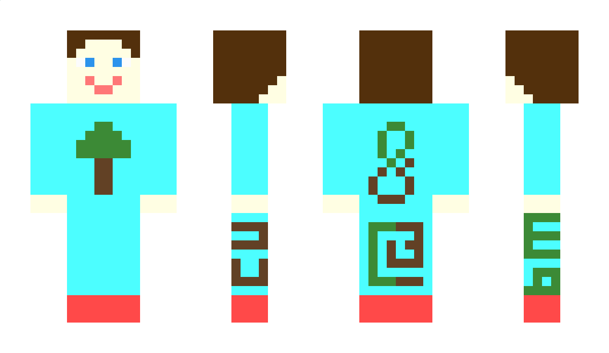 Toaks_N_Tcubes Minecraft Skin