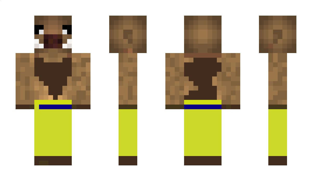 Abeille_Finito Minecraft Skin