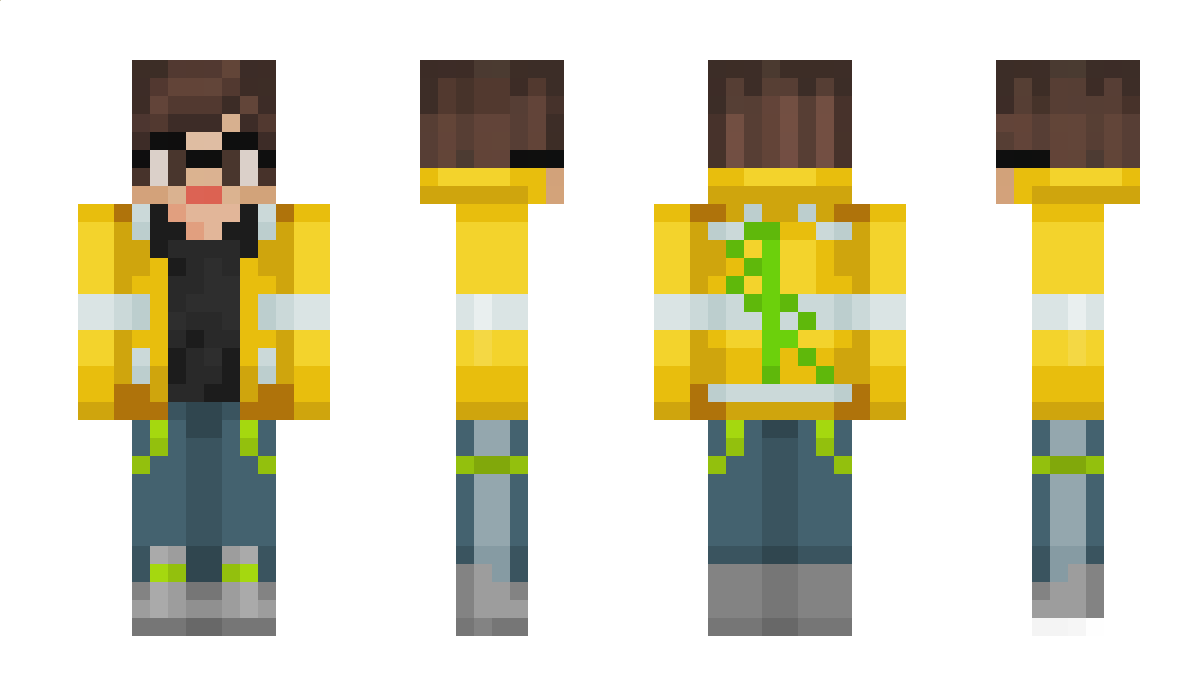 SteiinProd Minecraft Skin