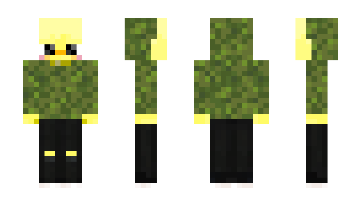 QuackGoesDuck Minecraft Skin