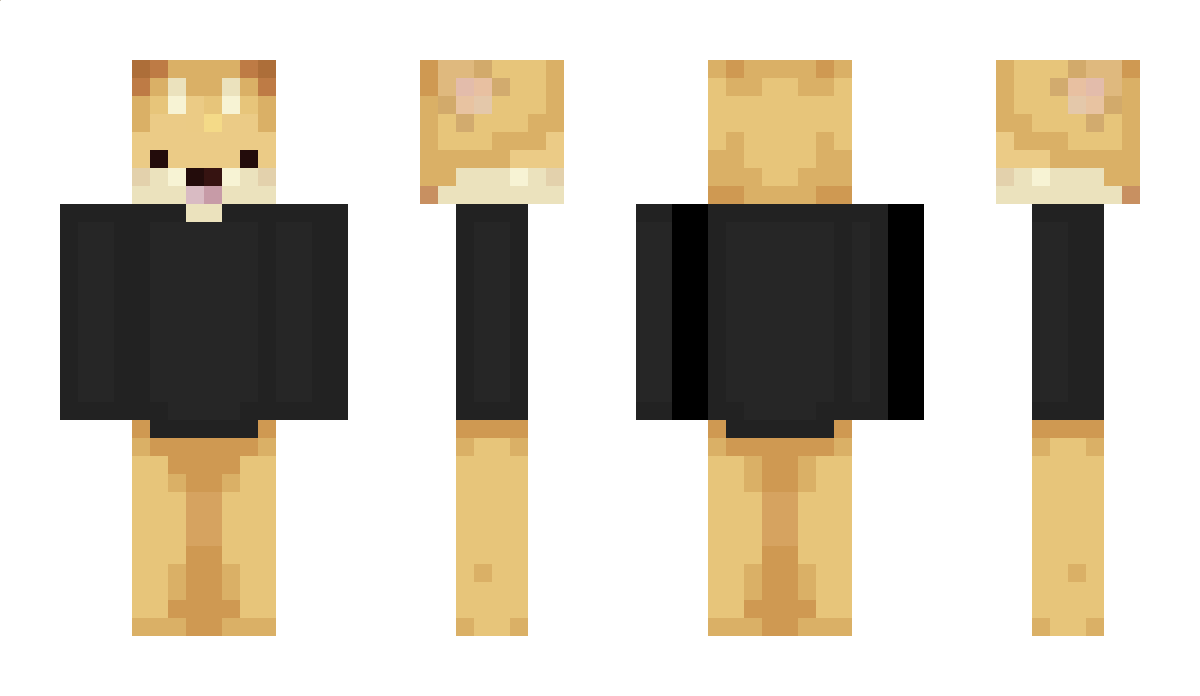 Phentom Minecraft Skin