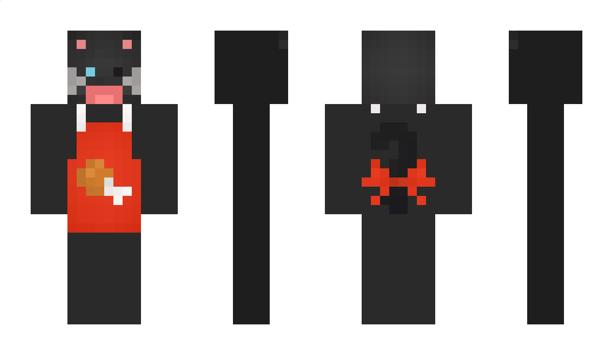 skydsa1 Minecraft Skin