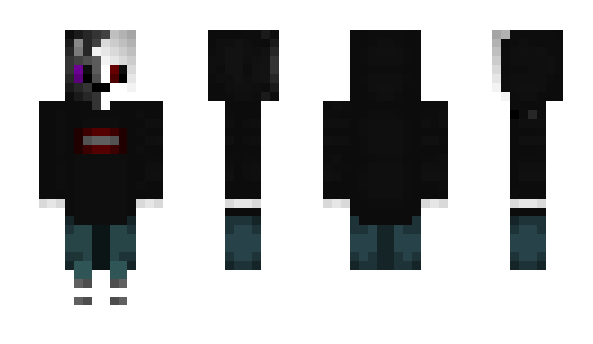 sethlin41 Minecraft Skin