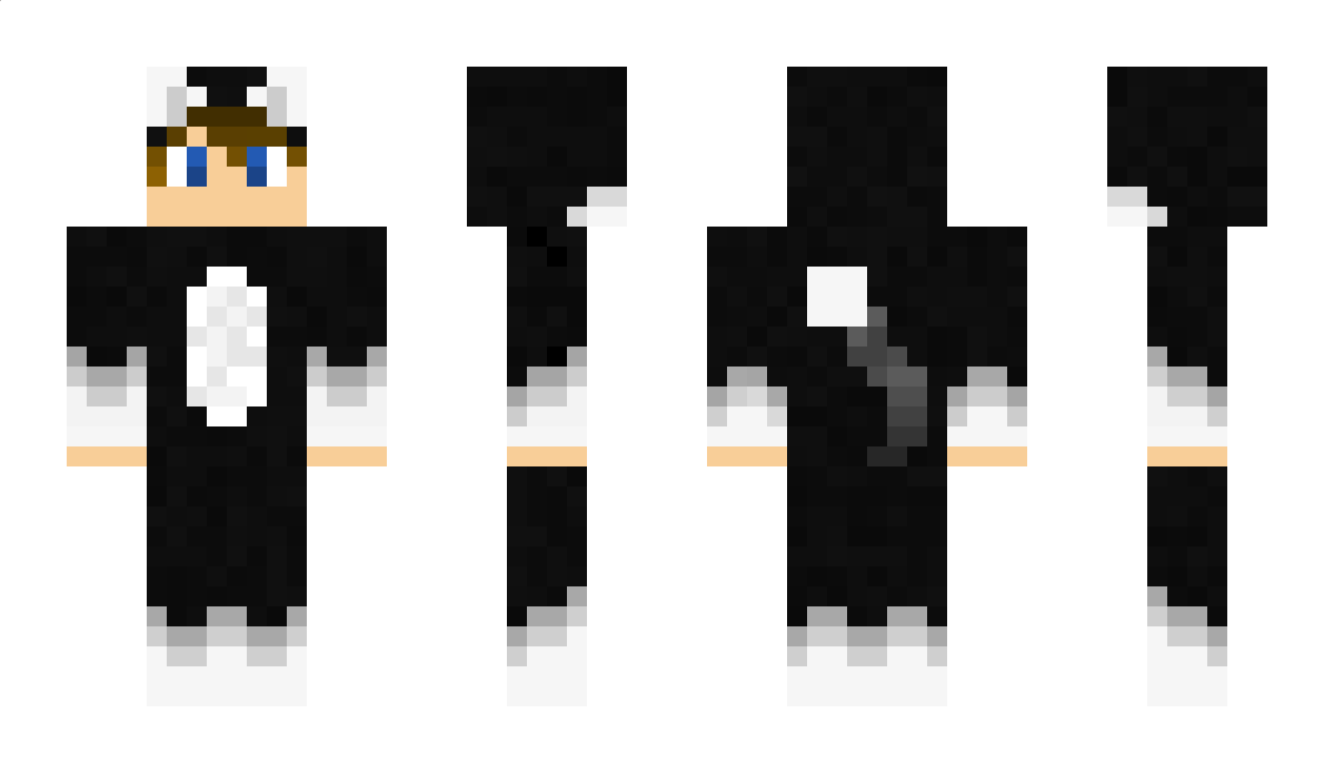 LePetitDark Minecraft Skin