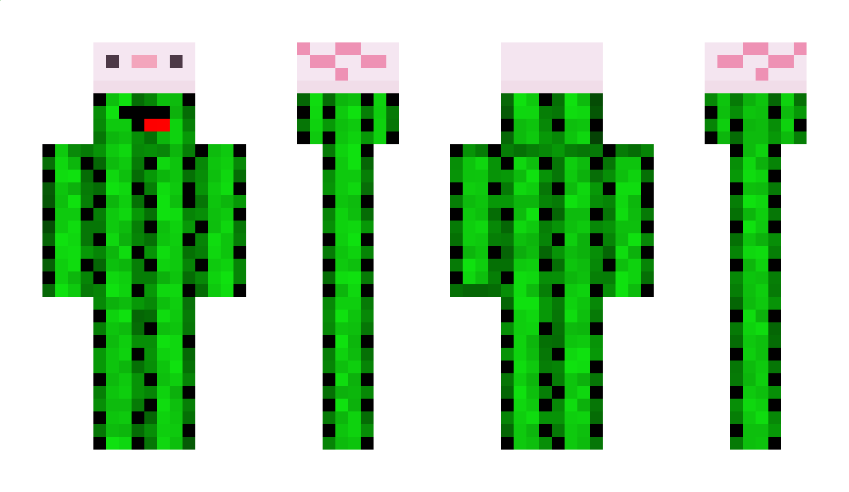 Skeppys_Cactus Minecraft Skin
