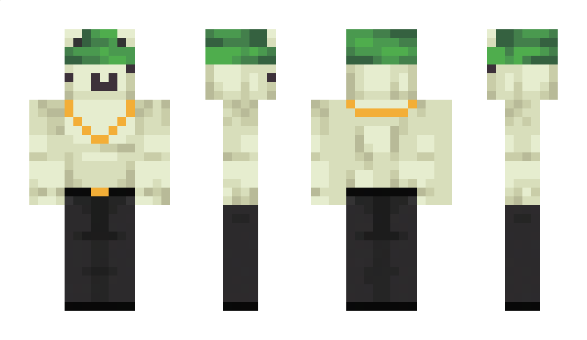 Fr0geen Minecraft Skin