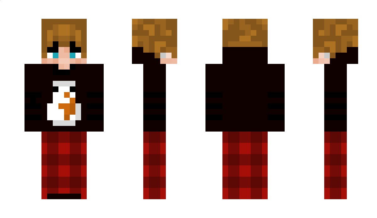 probuilder977 Minecraft Skin