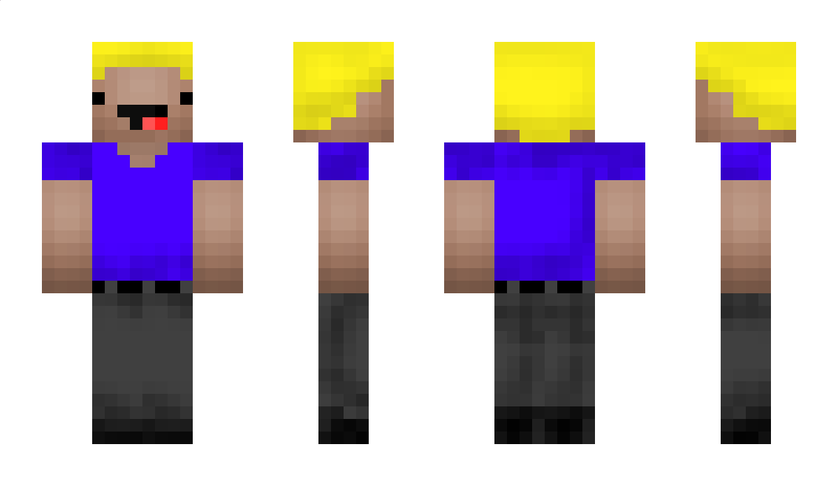 DaRealMax337 Minecraft Skin