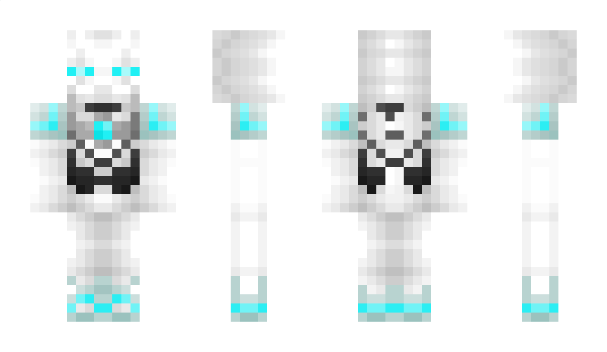 13432 Minecraft Skin