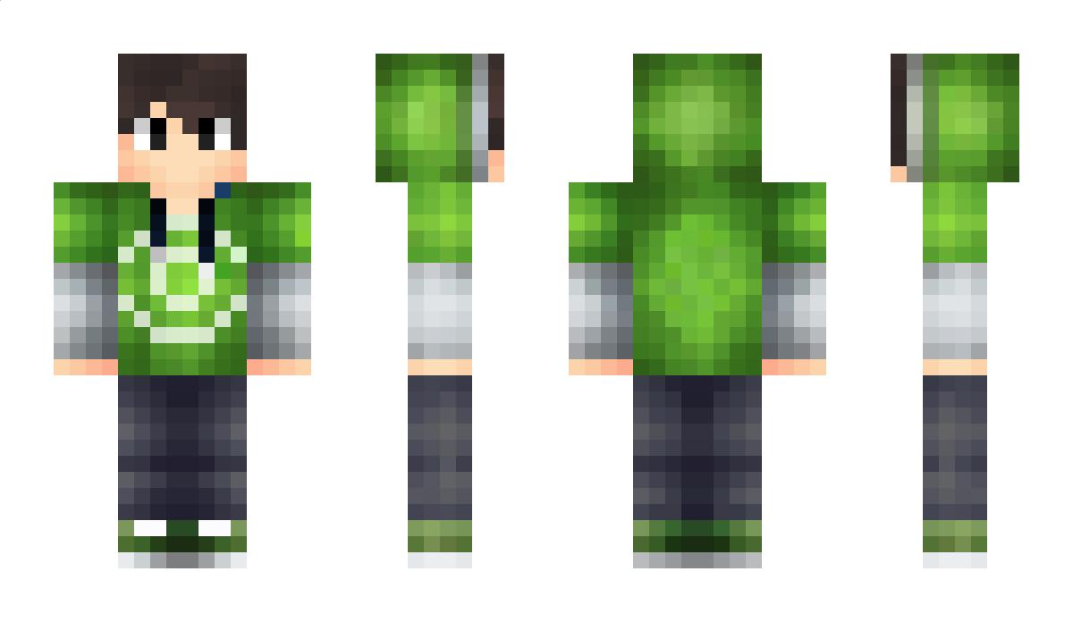 Wollari Minecraft Skin