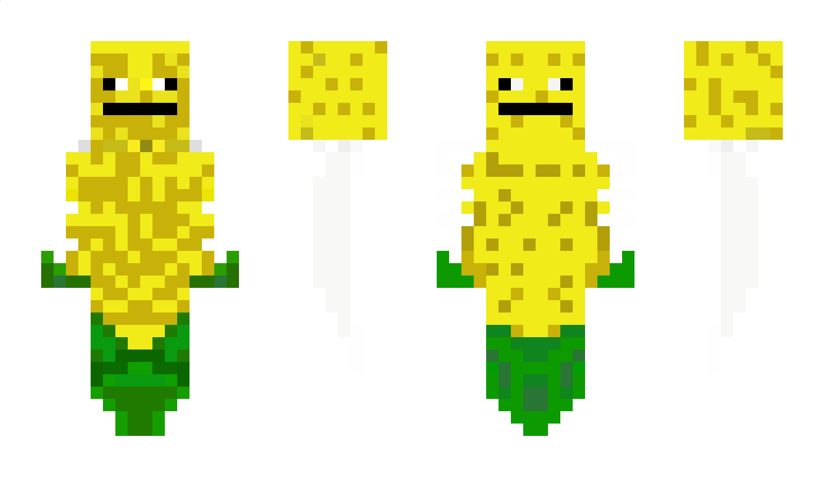 Leebrah Minecraft Skin