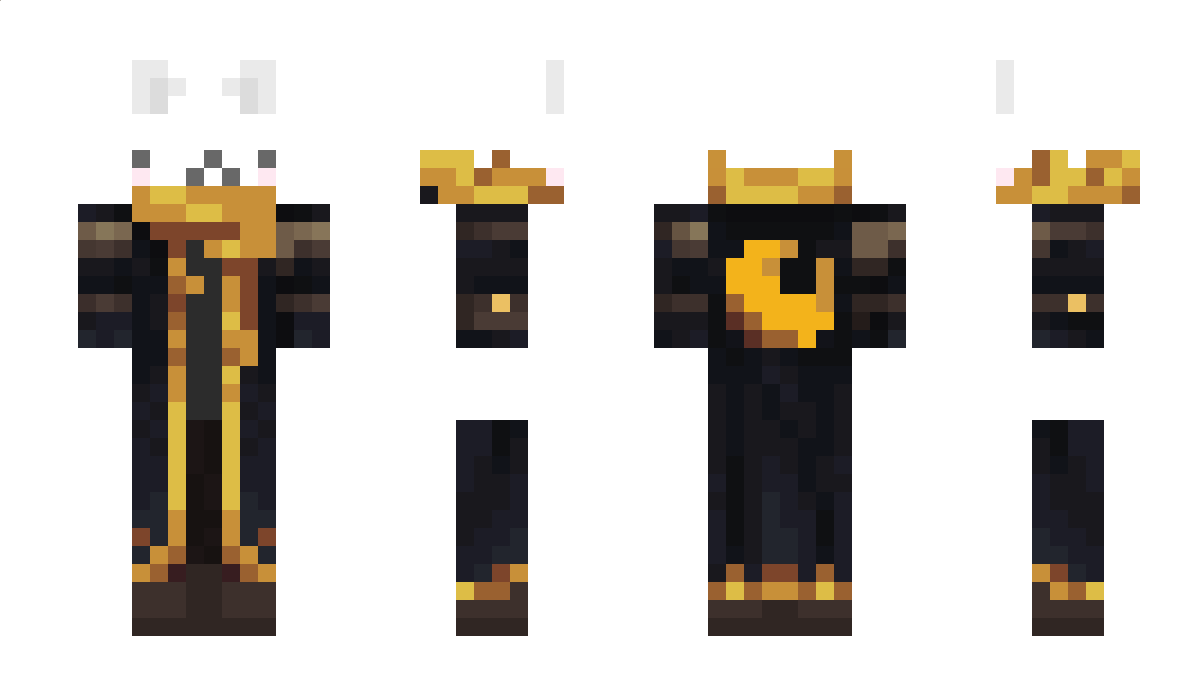 RBGCAT Minecraft Skin