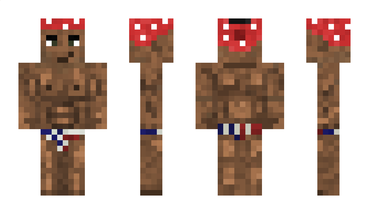 EnziGame Minecraft Skin