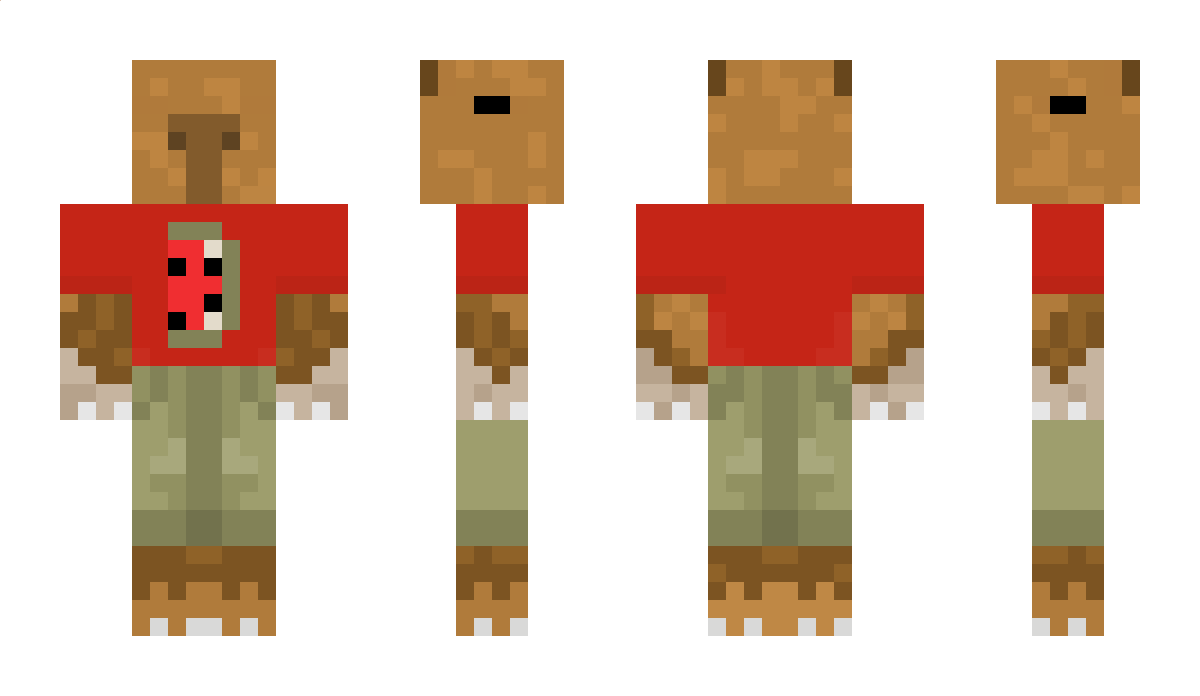 Nozethebest Minecraft Skin