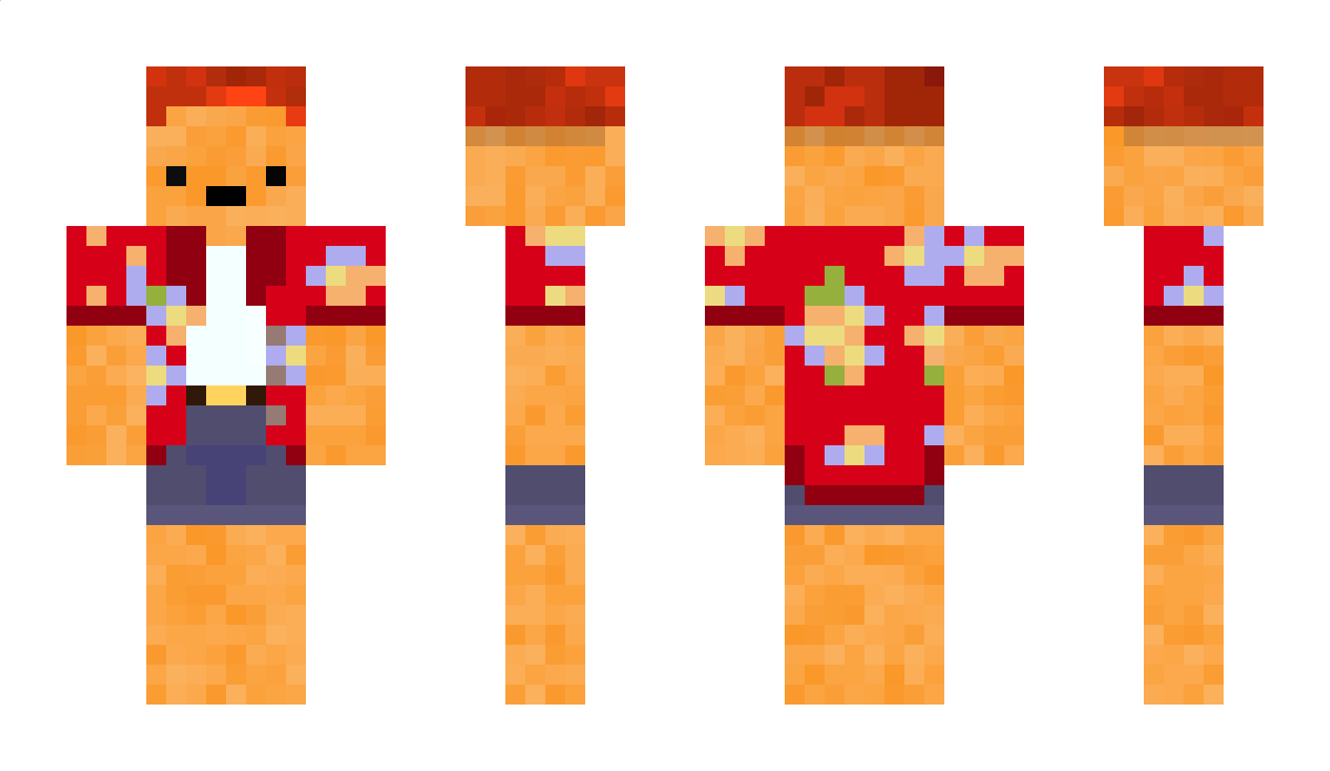 Ali_gamer13 Minecraft Skin