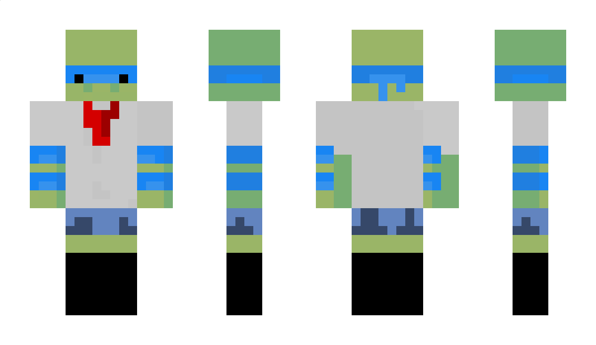 tortuguitarobot4 Minecraft Skin