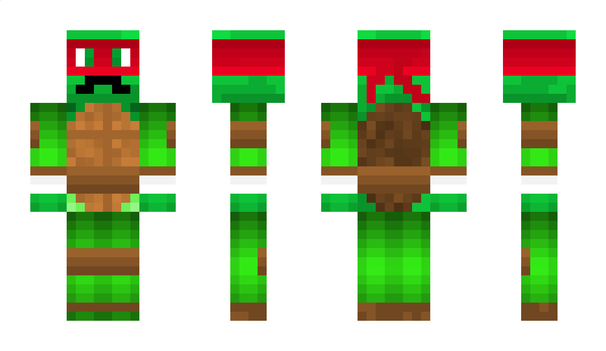 Y_turtle Minecraft Skin