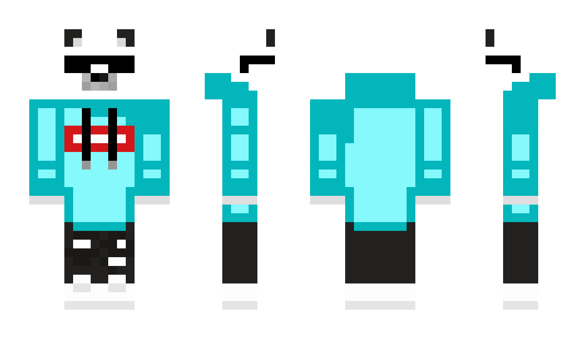 Winter07_R6 Minecraft Skin