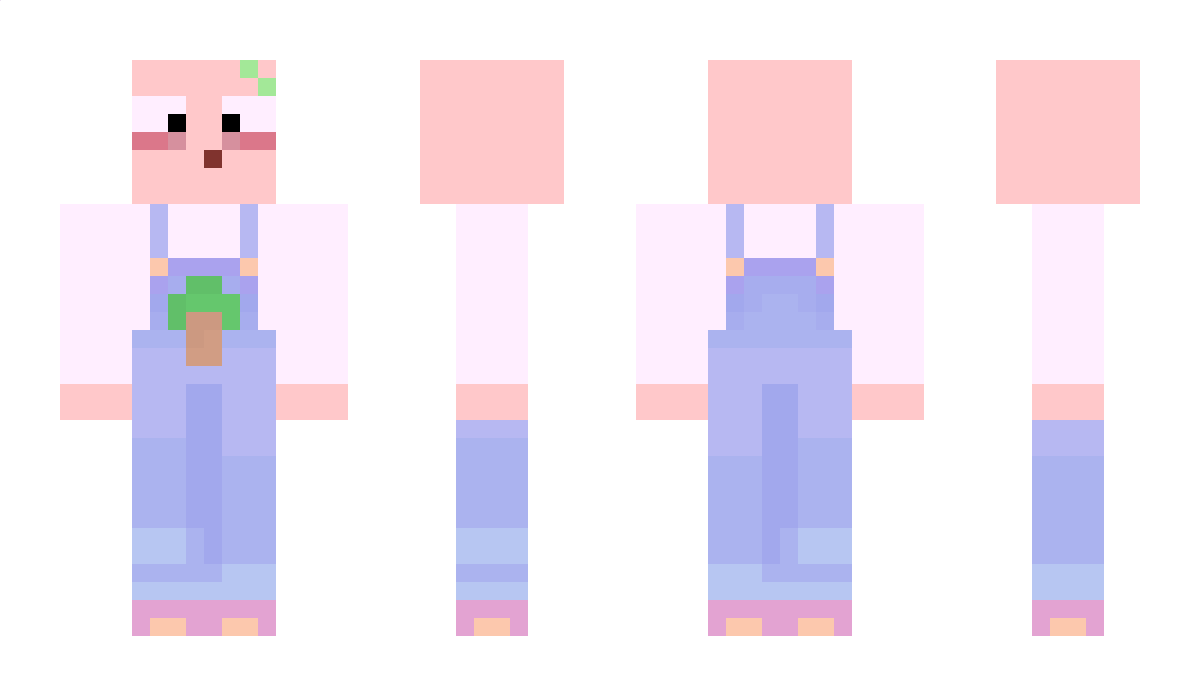 Bo_x Minecraft Skin