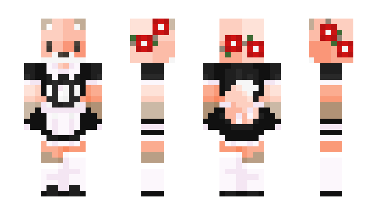 Bapbapbappers Minecraft Skin