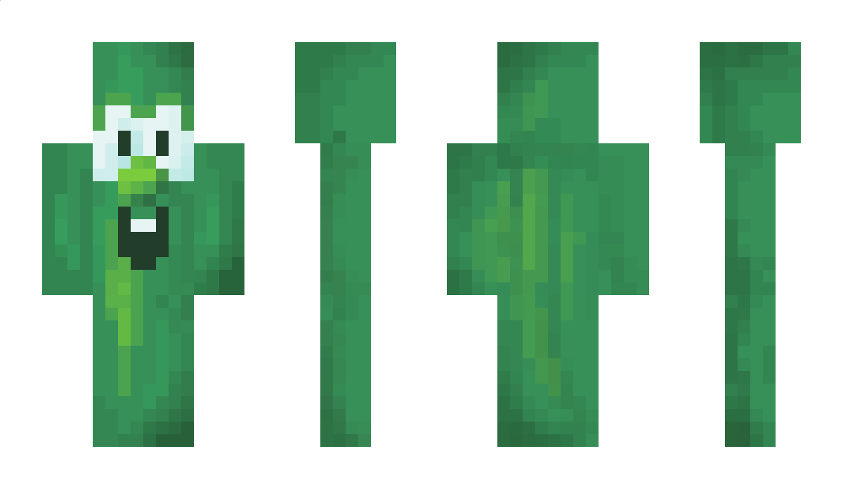 bHs_ Minecraft Skin