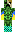 P13tj3NL Minecraft Skin