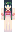 venteh Minecraft Skin