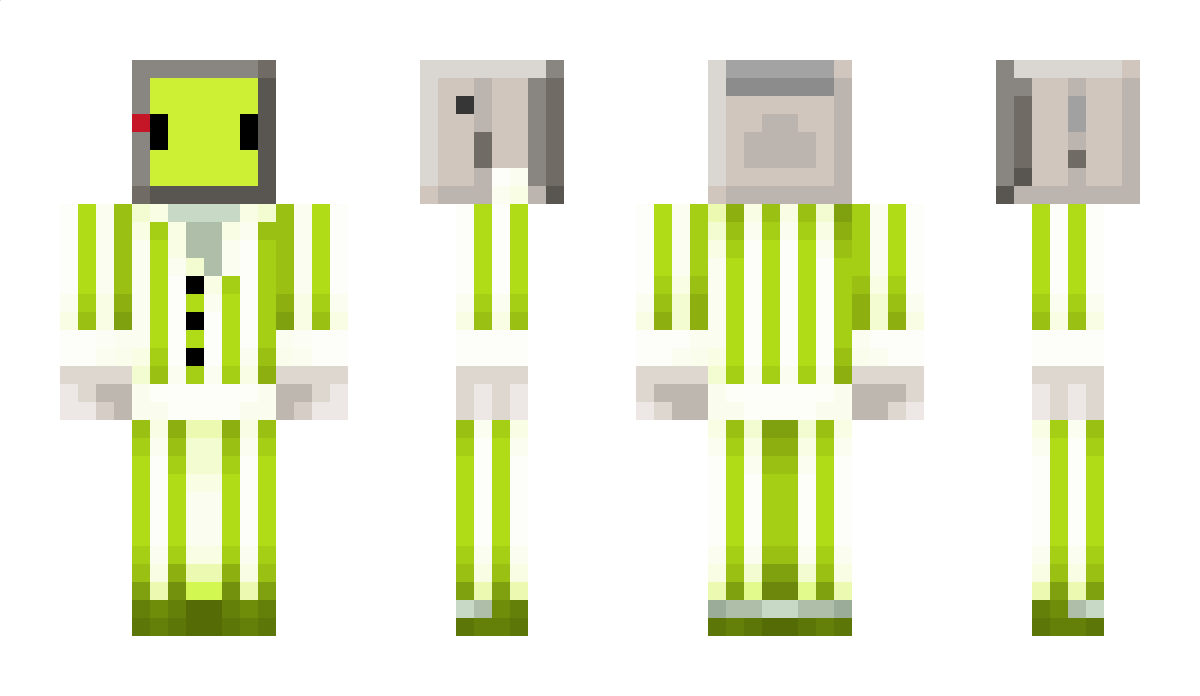 BedWarsChamp01 Minecraft Skin