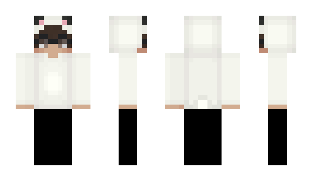 mre Minecraft Skin