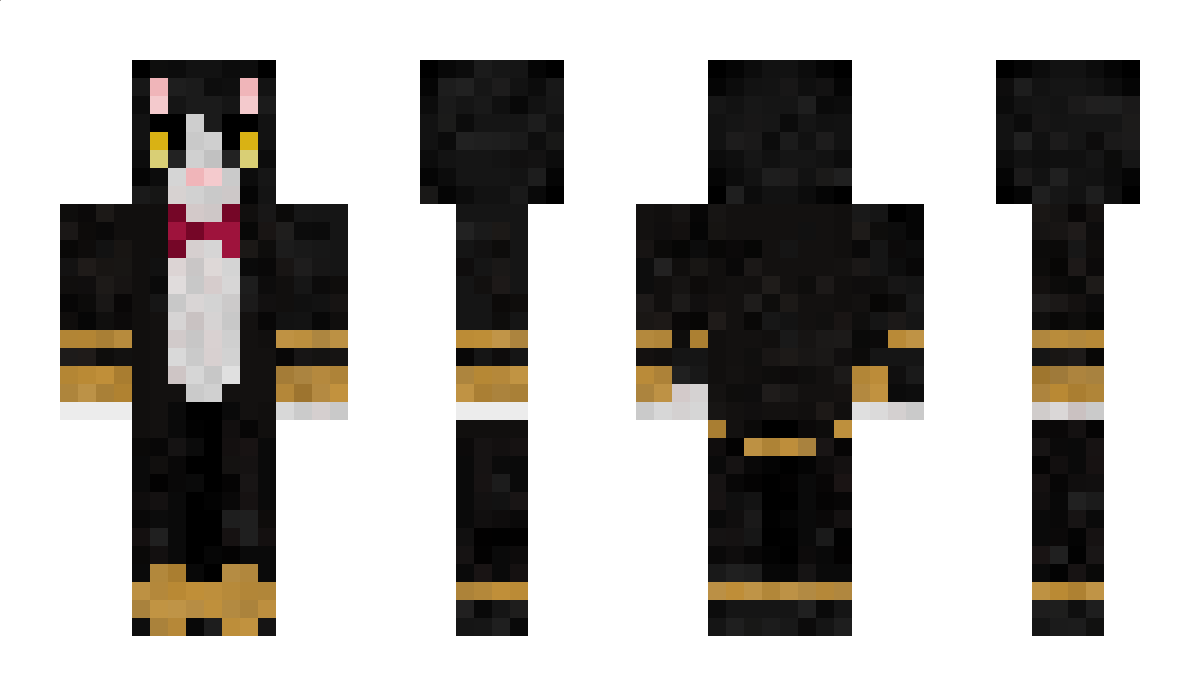 Terryotes Minecraft Skin