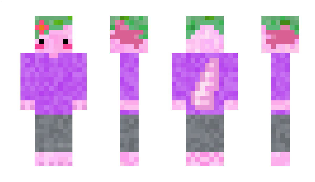 ChipsN_Dip Minecraft Skin