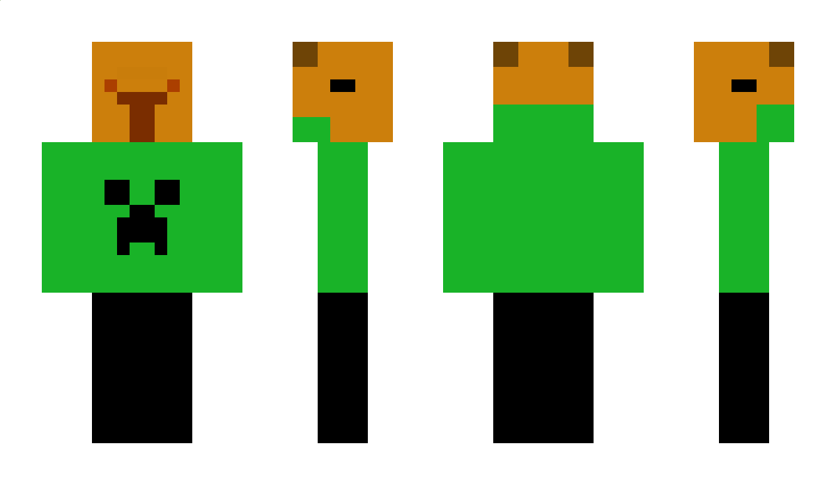 capibaraleivayt Minecraft Skin