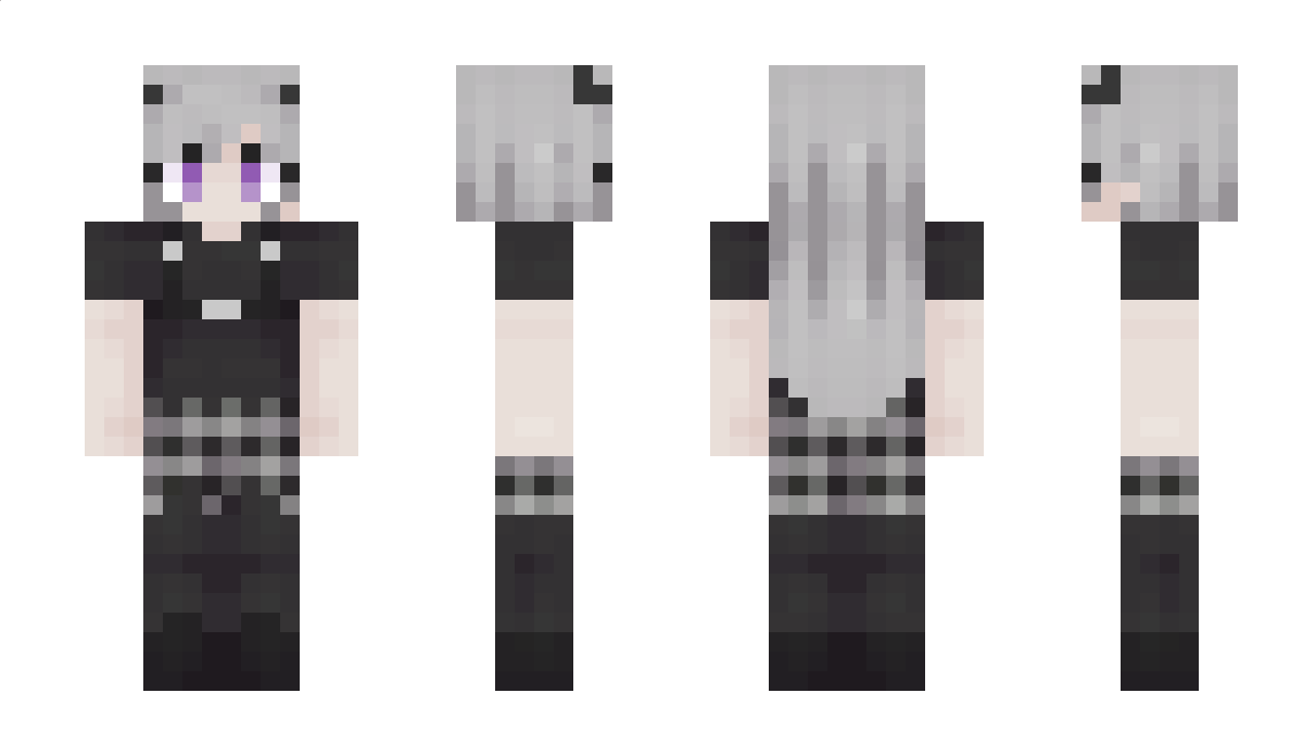 XselStyles Minecraft Skin