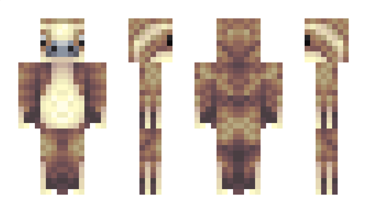 JRWA Minecraft Skin