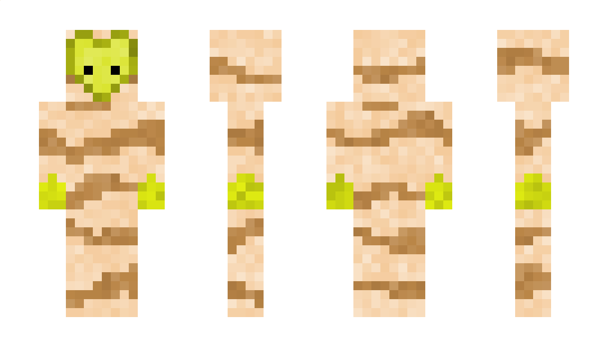 pokeb0b20 Minecraft Skin