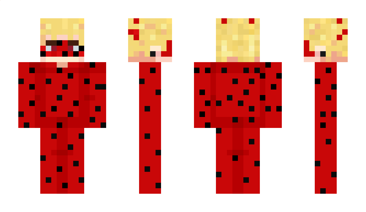 oiporta Minecraft Skin