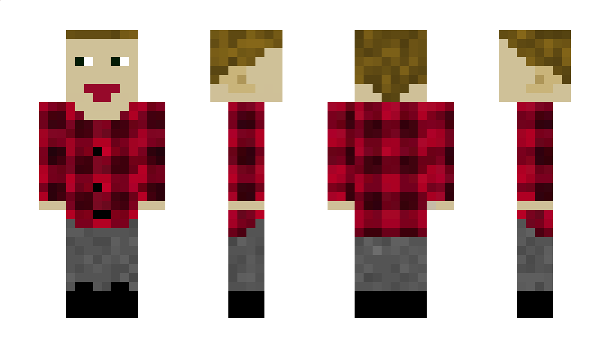 Bullerbu100 Minecraft Skin