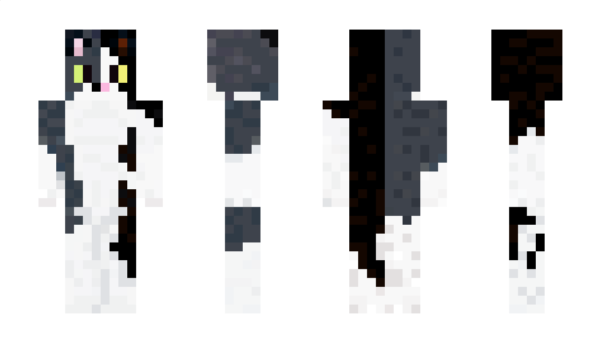 MonChoc22 Minecraft Skin