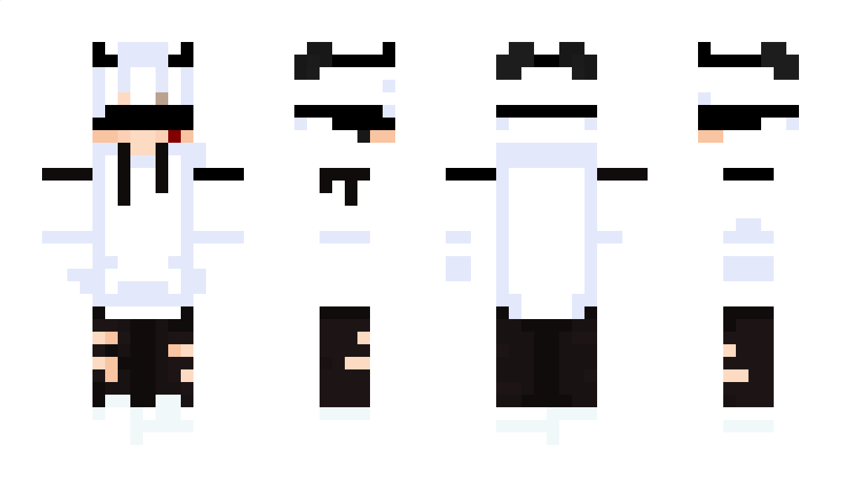 MailInHere Minecraft Skin